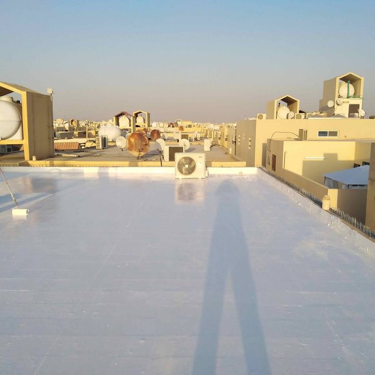 whatsapp image 2026 03 30 at 11.56.44 pm (2)